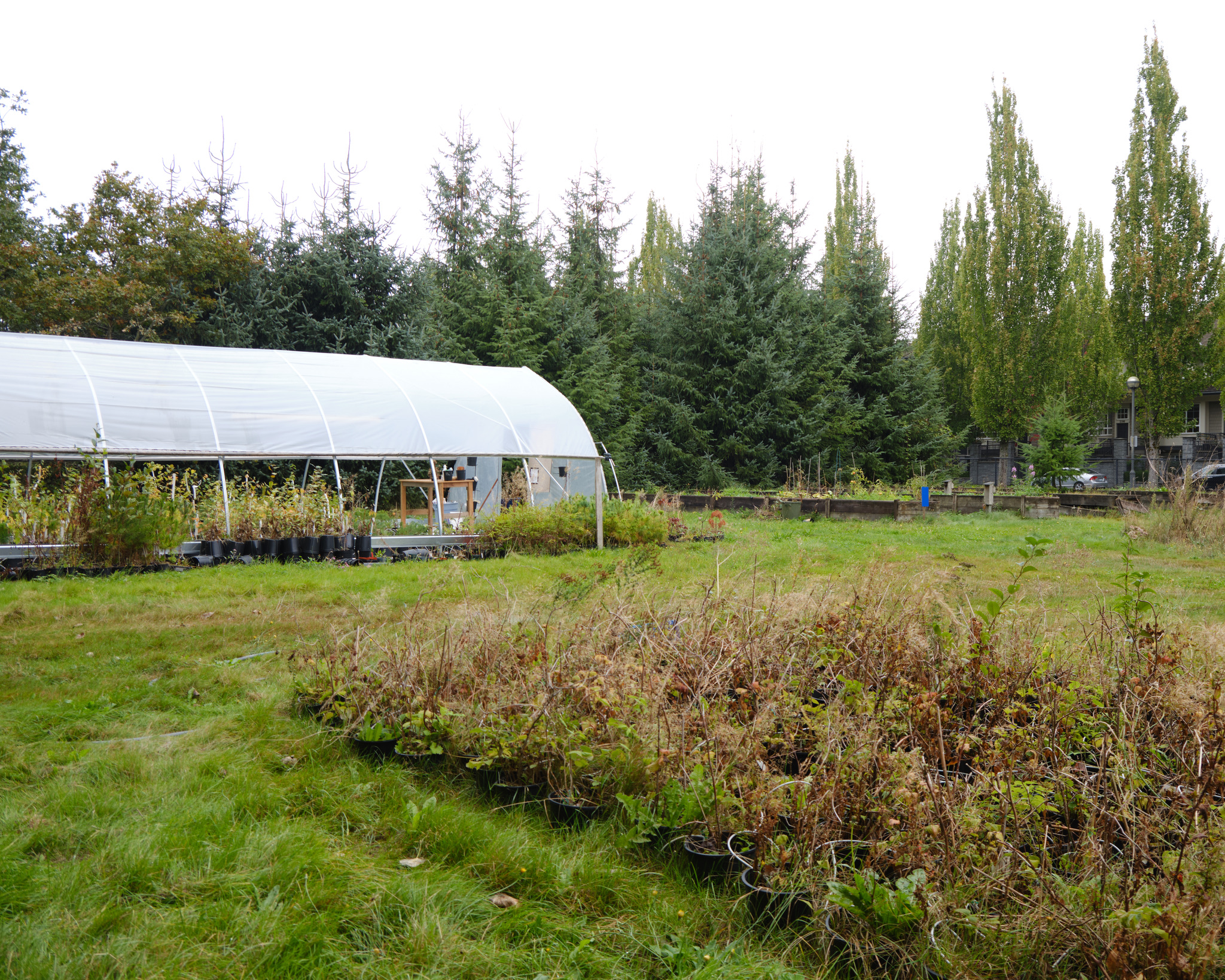 Agroponics